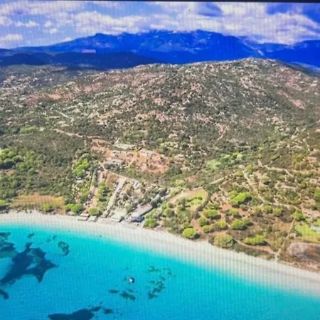 T2 Paradisiaque En Bord De Et Piscine Linguizzetta