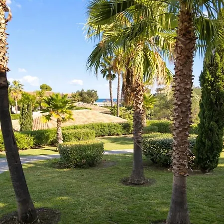 T2 Paradisiaque En Bord De Et Piscine Appartement Linguizzetta