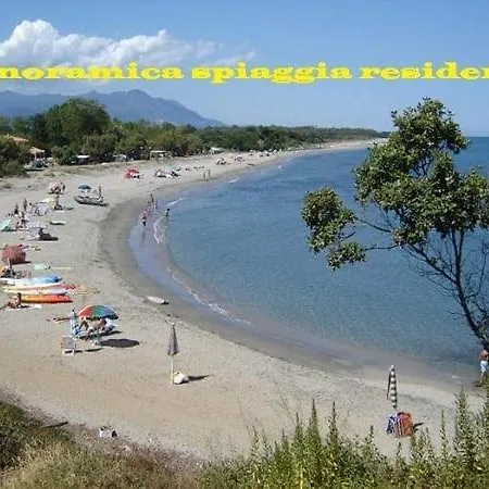 Appartement T2 Paradisiaque En Bord De Et Piscine Linguizzetta