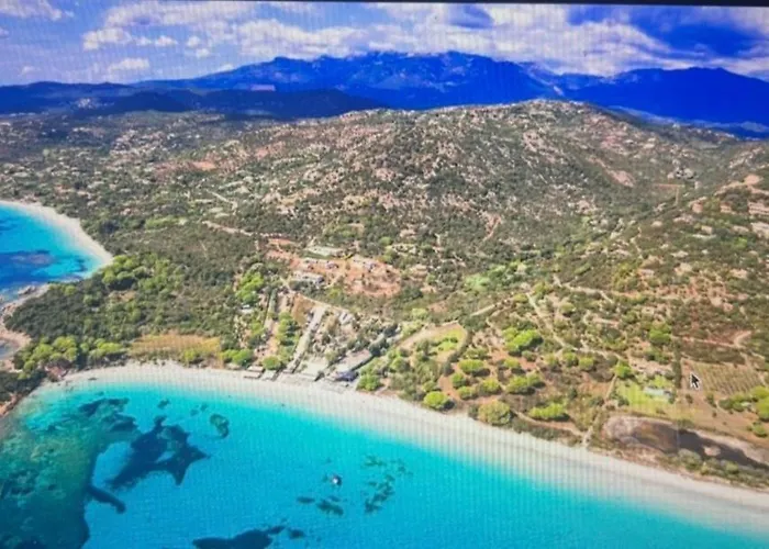 T2 Paradisiaque En Bord De Et Piscine Linguizzetta
